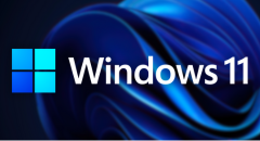 LockDown Browser for Windows 11